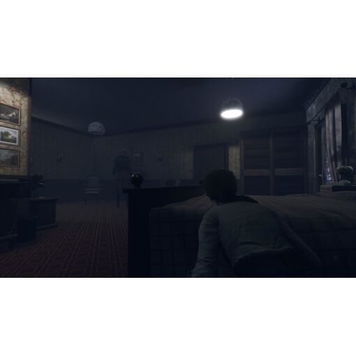 Remothered Broken Porcelain Switch - 2