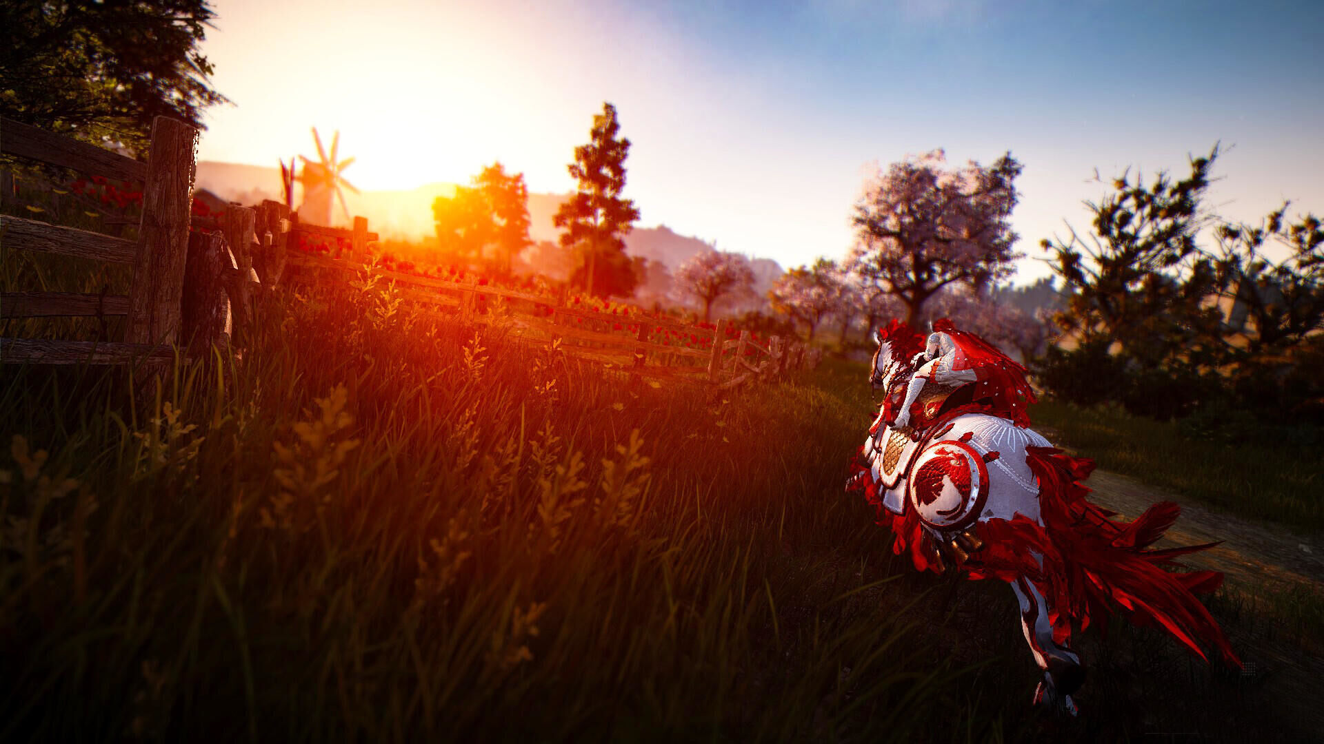 Black Desert : Prestige Edition PS4 - 8