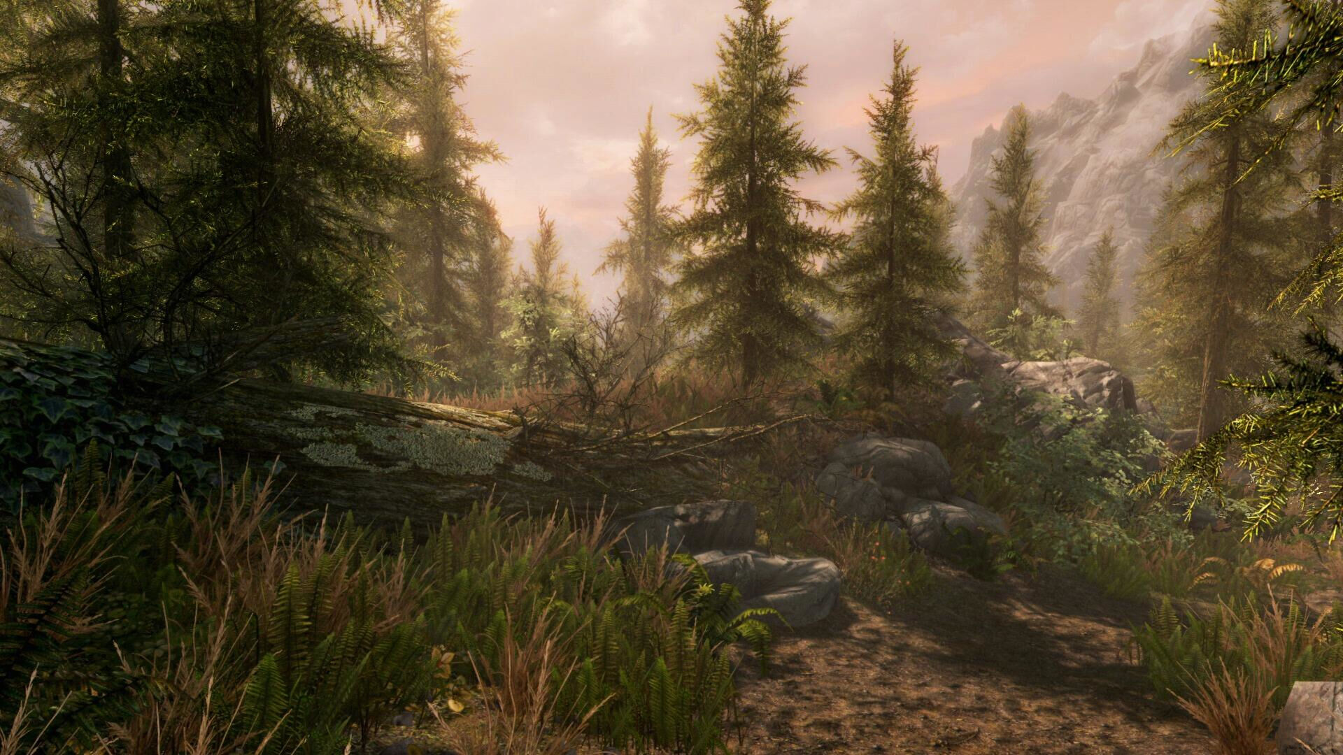The Elder Scrolls V - Skyrim Xbox One - 6