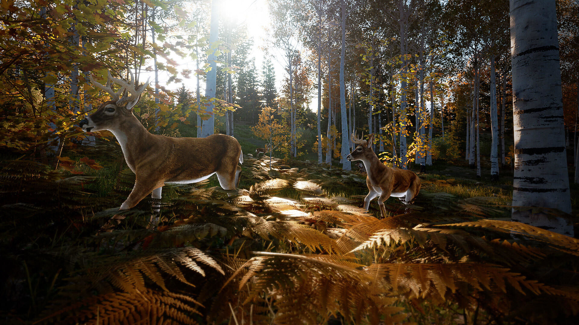 Hunting Simulator 2 PS4 - 8