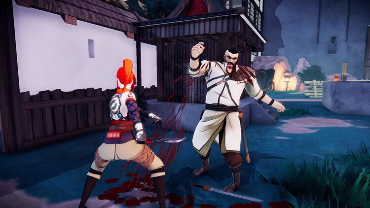 Aragami Shadow �dition Switch - 2