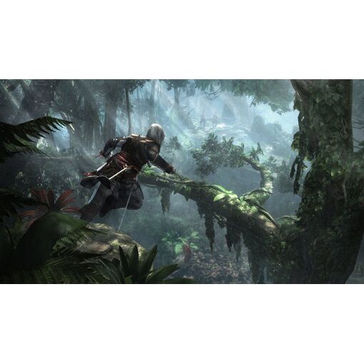 Assassin's Creed Iv Black Flag PAL Fr PS4 - 4