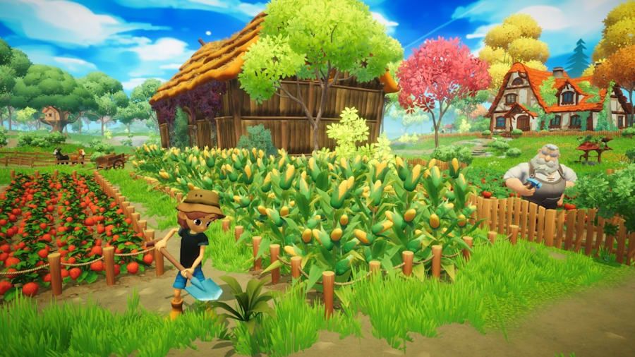 Everdream Valley Switch - 2