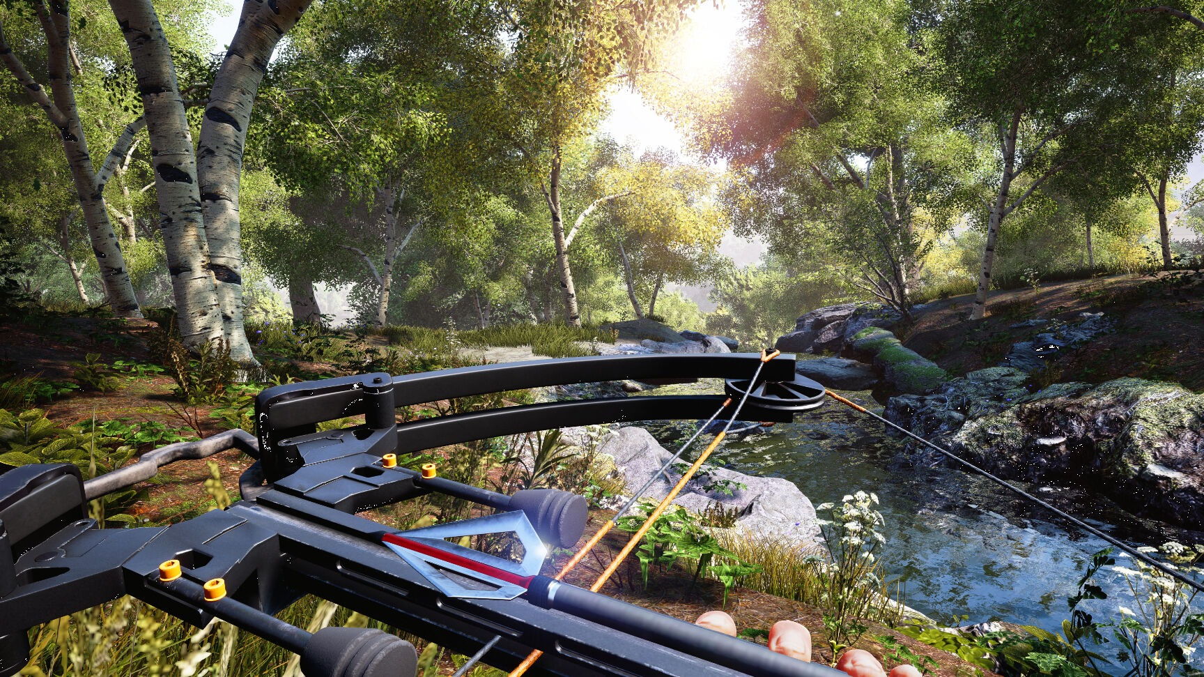 Hunting Simulator Switch - 4