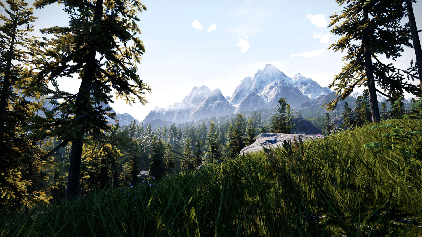 Hunting Simulator Switch - 3
