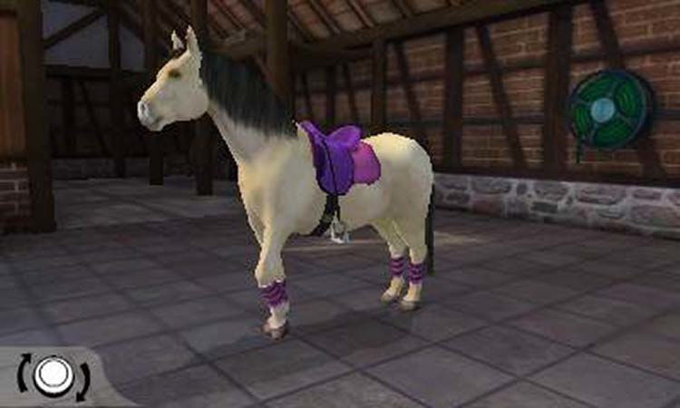 I love my pony 3DS - 3