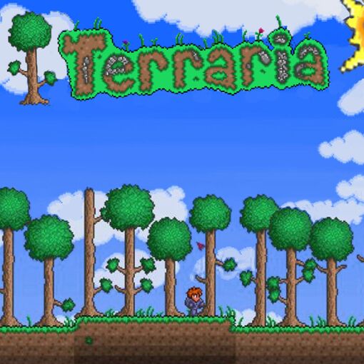 Terraria Wii U