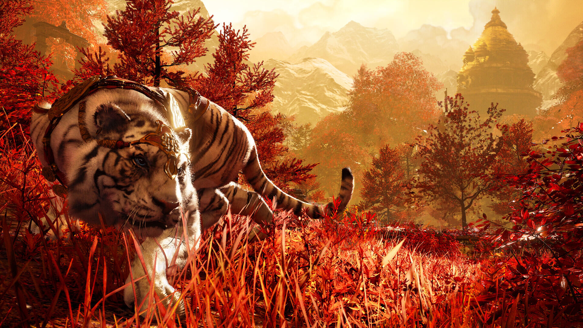 Far Cry 4 - Edition Int�grale PS4 - 8