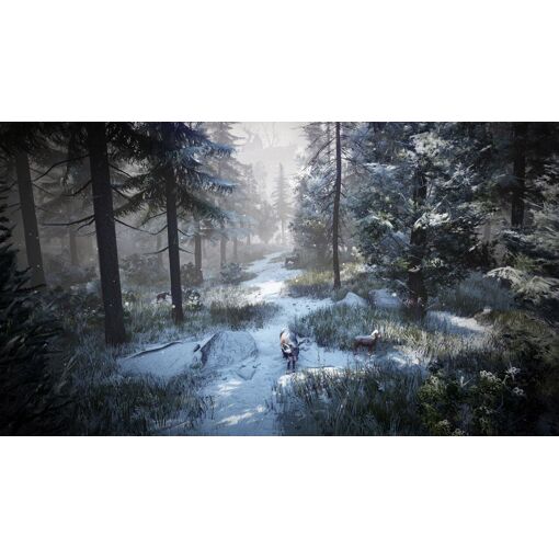 Black Desert Prestige Edition Playstation 4 - 8
