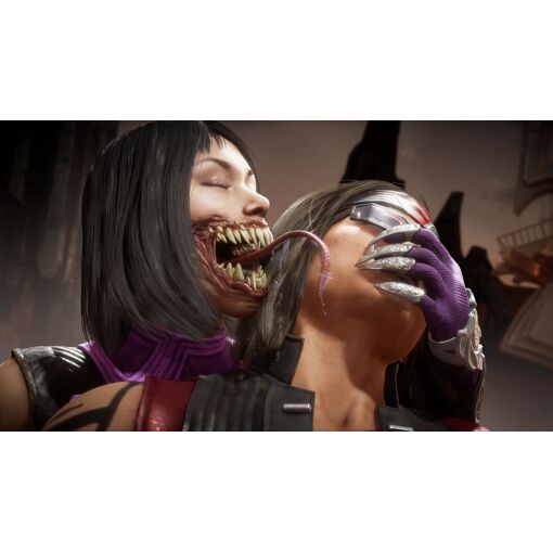 Mortal Kombat 11 : Ultimate PS4 - 4