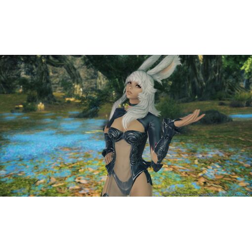 Final fantasy XIV : Shadowbringers �dition Compl�te PS4 - 3
