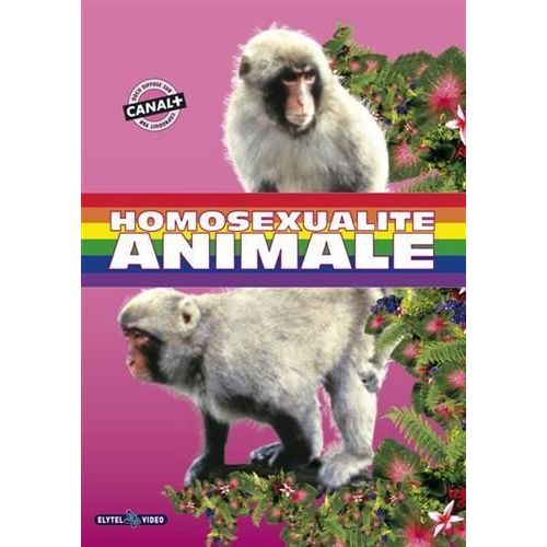 Homosexualité Animale