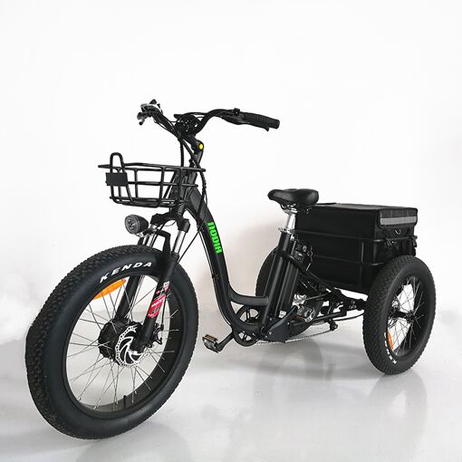 Tricycle Électrique Silly 500w 46v 16ah