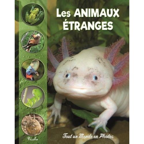 Les Animaux Étranges Et Méconnus