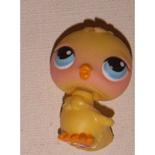Petshop - Poulet Poussin Oiseau Numéro 13