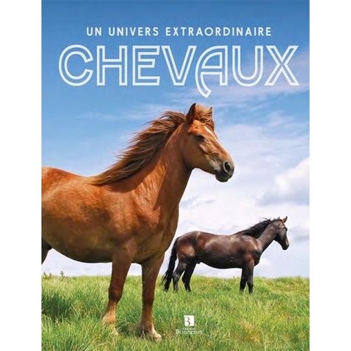 Chevaux - Un Univers Extraordinaire
