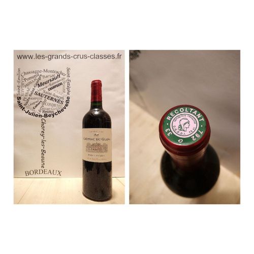 Château Du Glana 2015 - Saint-Julien - Cru Bourgeois - 1 X 75 Cl - Rouge
