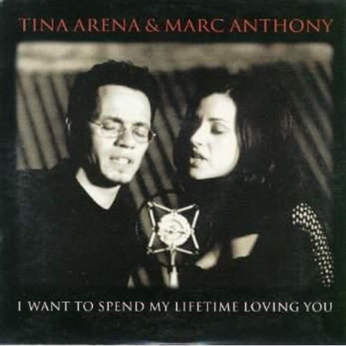 I Want To Spend My Lifetime Loving You