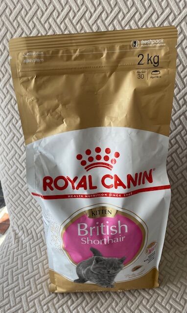 Royal Canin Croquettes Pour Chaton