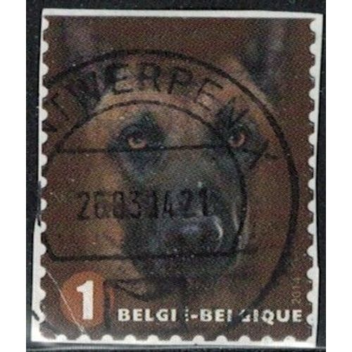 Belgique 2014 Oblitéré Used Canis Lupus Familiaris Chien Malinois Y&t Be 4365 Su