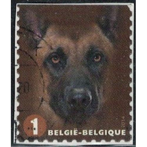 Belgique 2014 Oblitéré Used Canis Lupus Familiaris Chien Malinois Y&t Be 4365 Su