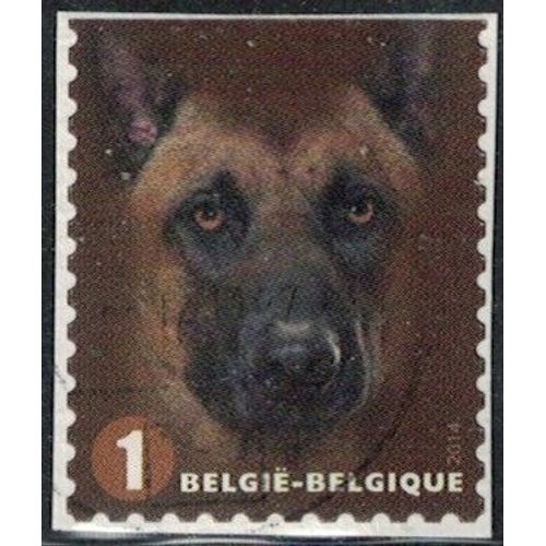 Belgique 2014 Oblitéré Used Canis Lupus Familiaris Chien Malinois Y&t Be 4365 Su