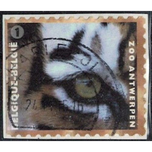 Belgique 2013 Oblitéré Used Animal Tigre Panthera Tigris Y&t Be 4326 Su