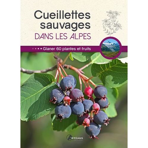 Cueillettes Sauvages Dans Les Alpes - 60 Plantes Et Fruits À Glaner