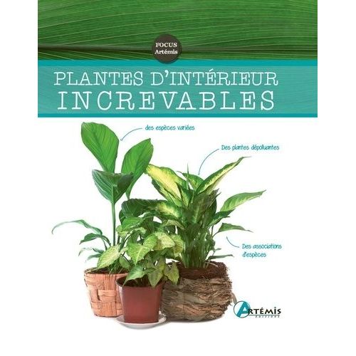 Plantes D'intérieur Increvables
