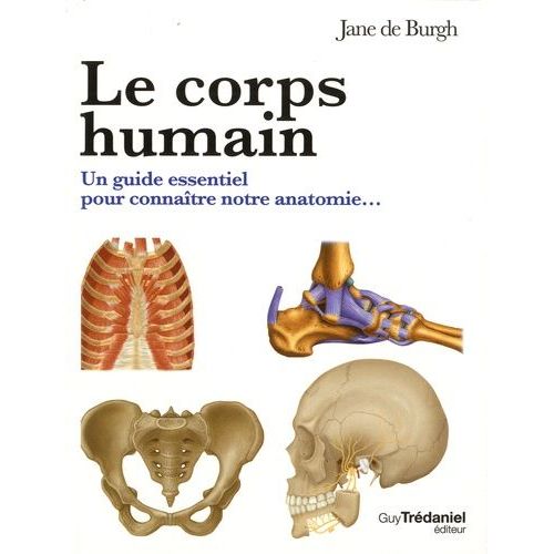 Le Corps Humain - Le Guide Visuel Pour Comprendre Notre Anatomie