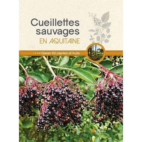 Cueillettes Sauvages En Aquitaine - 60 Plantes Et Fruits À Glaner
