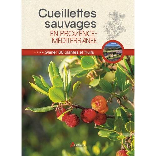 Cueillettes Sauvages En Provence-Méditerranée - 60 Plantes Et Fruits À Glaner