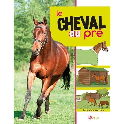 Le Cheval Au Pré