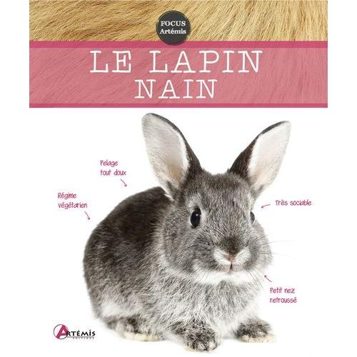 Le Lapin Nain