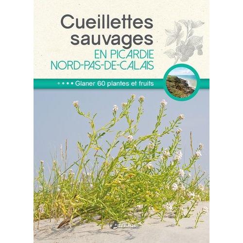 Cueillettes Sauvages En Picardie-Nord-Pas-De-Calais - 60 Plantes Et Fruits À Glaner
