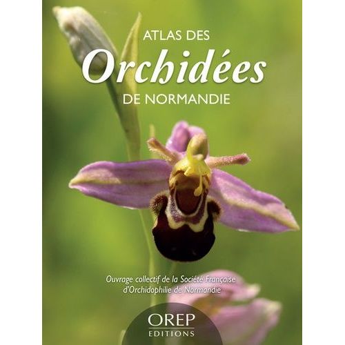 Atlas Des Orchidées De Normandie