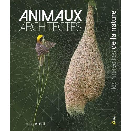 Animaux Architectes - Les Merveilles De La Nature