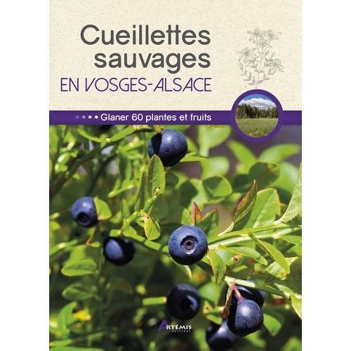 Cueillettes Sauvages En Vosges-Alsace - 60 Plantes Et Fruits À Glaner