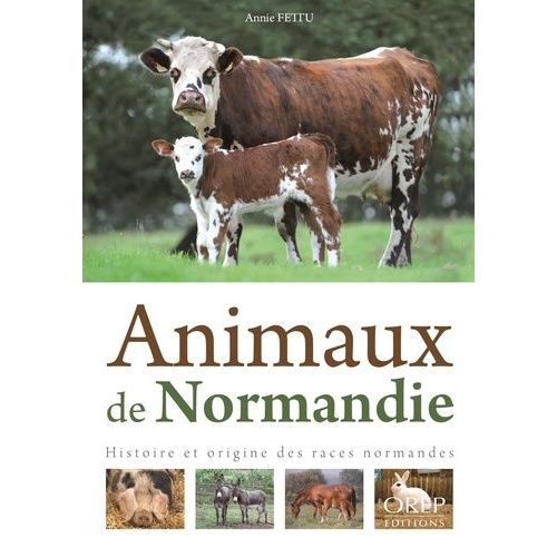 Animaux De Normandie - Histoire Et Origine Des Races Normandes