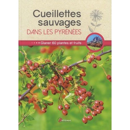 Cueillettes Sauvages Dans Les Pyrénées - 60 Plantes Et Fruits À Glaner