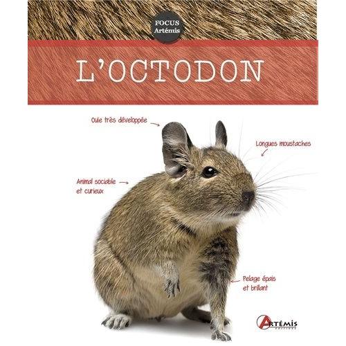 L'octodon