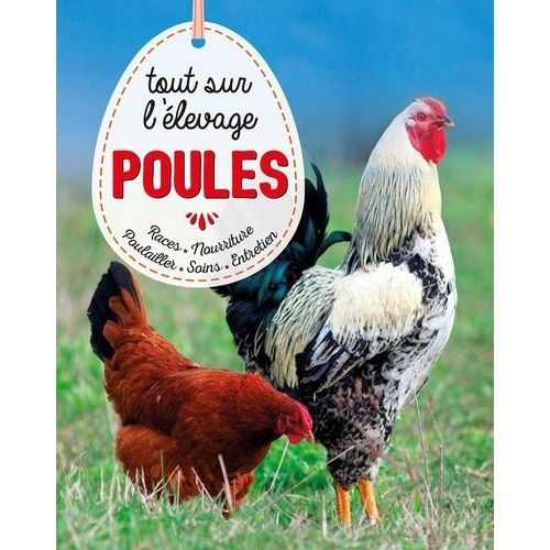 Poules, Tout Sur L'élevage - Races, Soins, Poulailler, Entretien