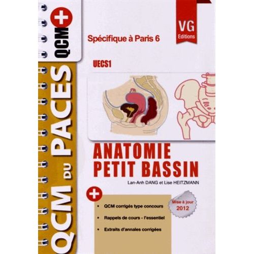 Anatomie Petit Bassin Uecs 1 - Optimisé Pour Paris 6