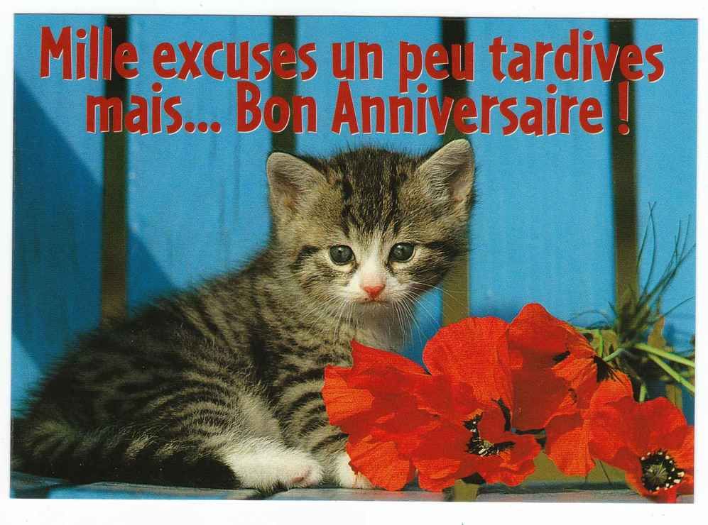 Bon Anniversaire 5 Cartes Carte Postale Rakuten