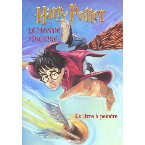 Harry Potter : Le Monde Magique - Un Livre À Peindre