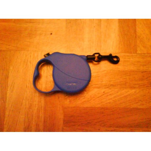 Petite Laisse Pour Chat Et Chatons