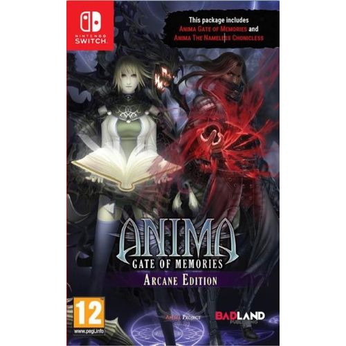 Anima : Gate Of Memories Arcane Edition Switch