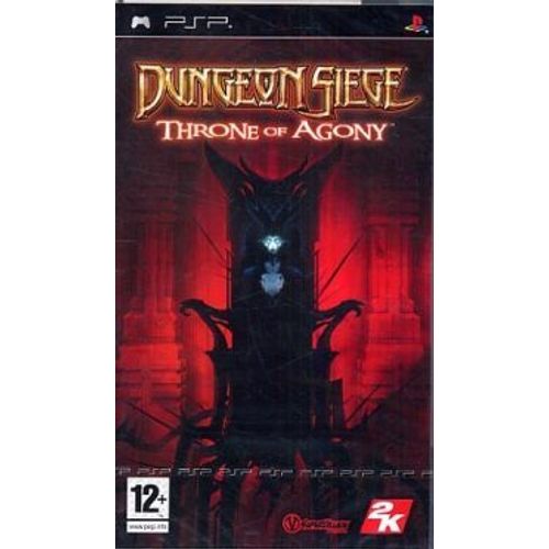 Dungeon Siege Psp