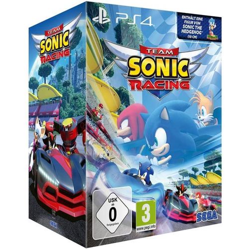 Team Sonic Racing Collector Edition Ps4