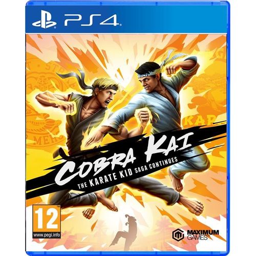 Cobra Kai : The Karate Kid Saga Continues Ps4